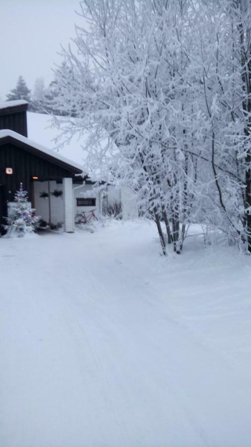 The House Near Santa Park Villa Rovaniemi Buitenkant foto