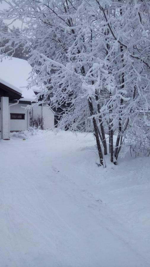 The House Near Santa Park Villa Rovaniemi Buitenkant foto