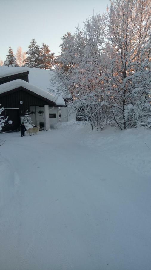 The House Near Santa Park Villa Rovaniemi Buitenkant foto