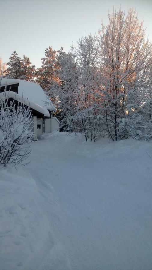 The House Near Santa Park Villa Rovaniemi Buitenkant foto