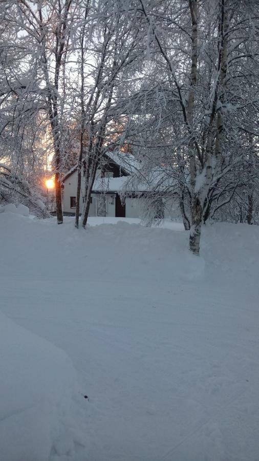 The House Near Santa Park Villa Rovaniemi Buitenkant foto